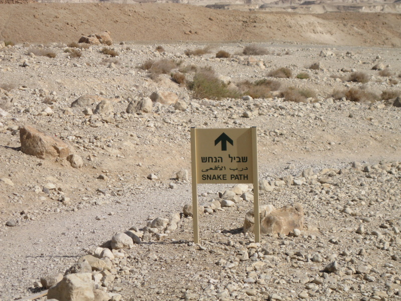 Masada - I opted to hike instead of taking the cable car