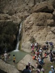 Ein Gedi Nature Reserve